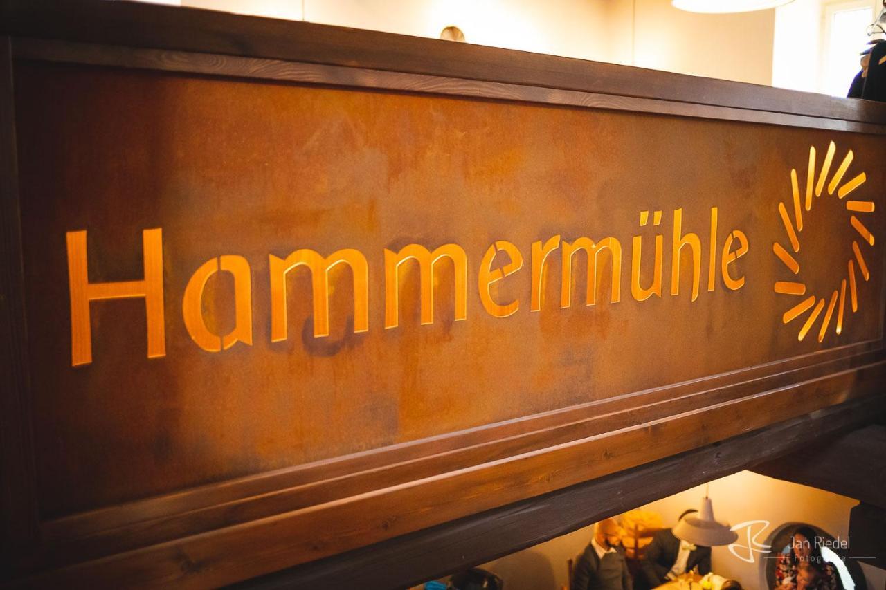 Hessischer Hof Ober-Ramstadt Экстерьер фото