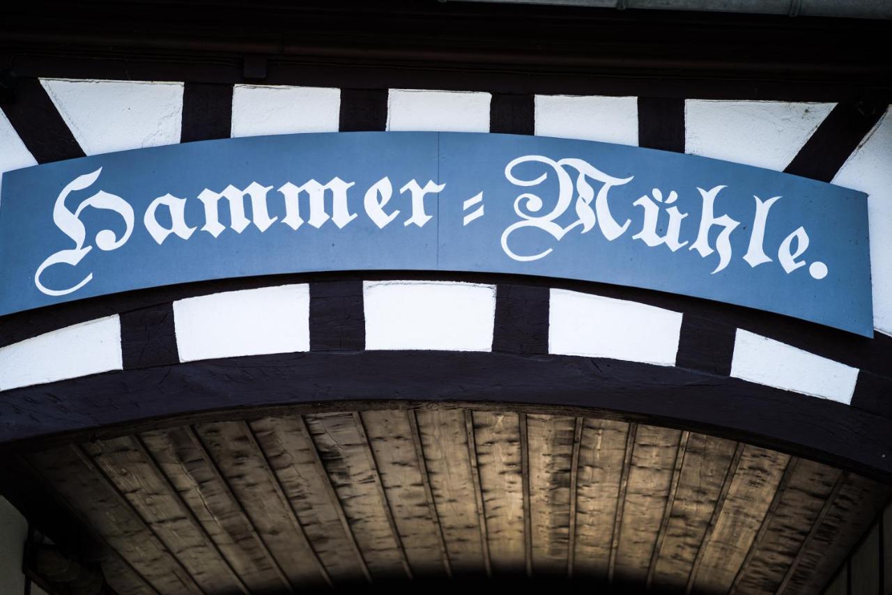 Hessischer Hof Ober-Ramstadt Экстерьер фото